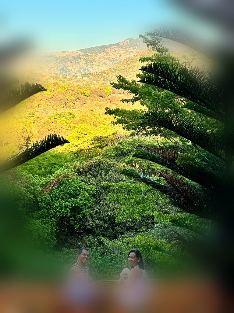 Furparents and dog on the hammock overlooking the hills